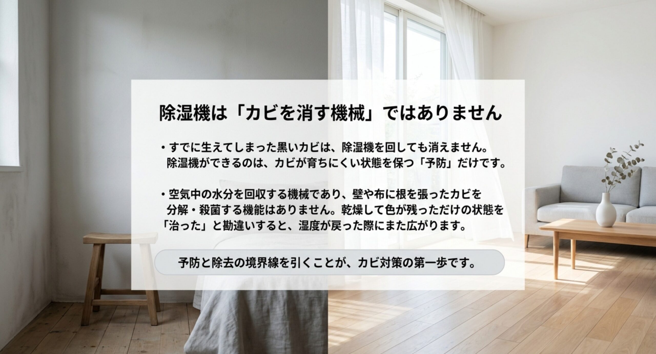 すでに生えた黒カビは除湿機では消えず、除湿機ができるのは予防だけであることを説明した図